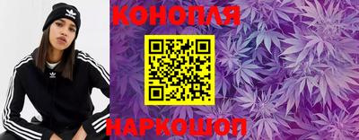 PSILOCYBIN Бугуруслан