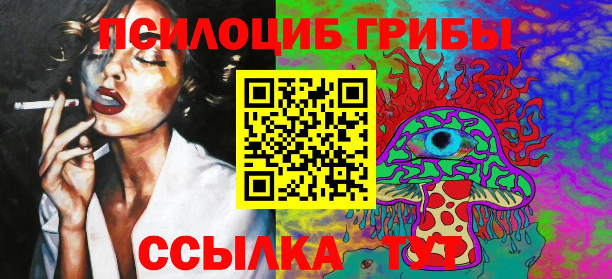Георгиевск  Псилоцибиновые грибы Psilocybine cubensis  Вход с VPN 