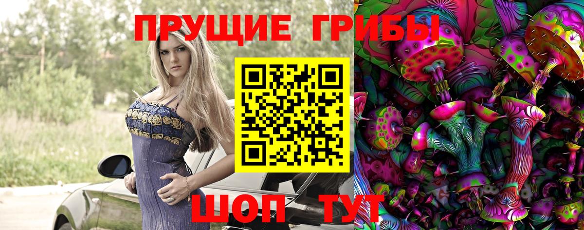 Псилоцибиновые грибы мицелий Георгиевск